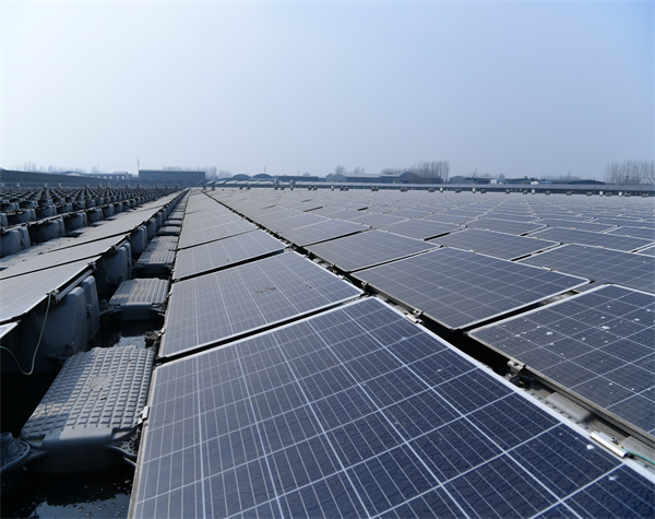 兩部委重磅發(fā)文！